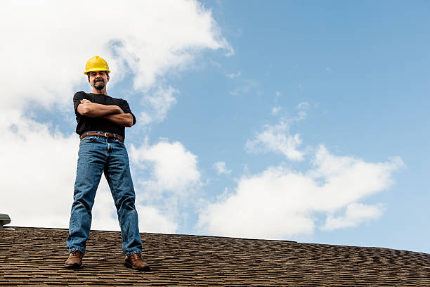 Best Roof Gutter Cleaning  in Dolgeville, NY